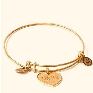 Alex And Ani NWT bracelet heart pendant